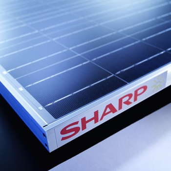 sharp solar panel